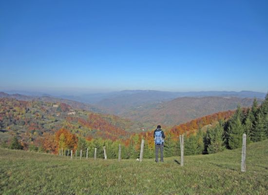 serbia/stara-planina-mountain/landmark/jelova-gora