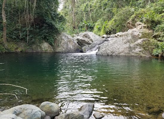 puerto-rico/yunque-national-forest/landmark/mango-waterfall