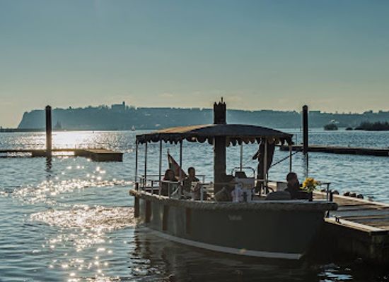 united-kingdom/glamorgan/attraction/the-open-boat-daffodil-2