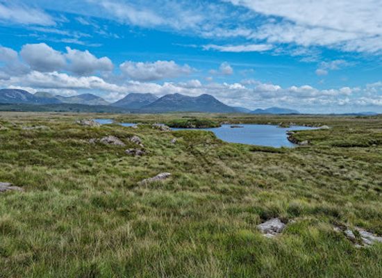 ireland/county-galway/landmark/roundstone-bog