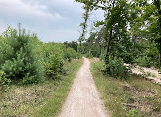 netherlands/veluwe/landmark/koninklijke-houtvesterij-het-loo