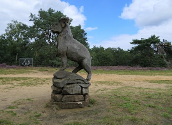 netherlands/hoge-veluwe-national-park/landmark/otterlose-zand