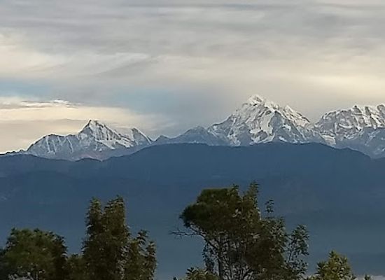 india/himalayas/landmark/kausani-tea-estate