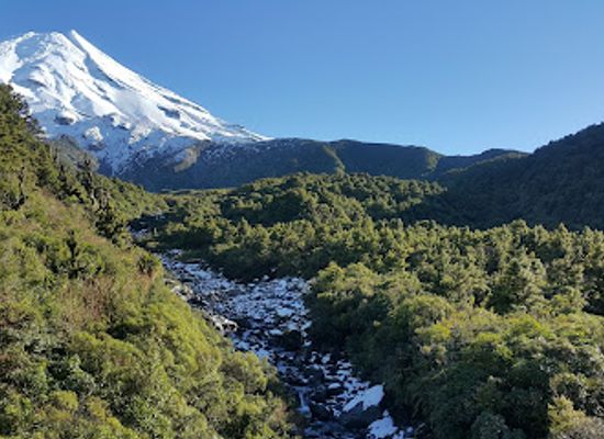 new-zealand/taranaki/landmark/wilkies-pools