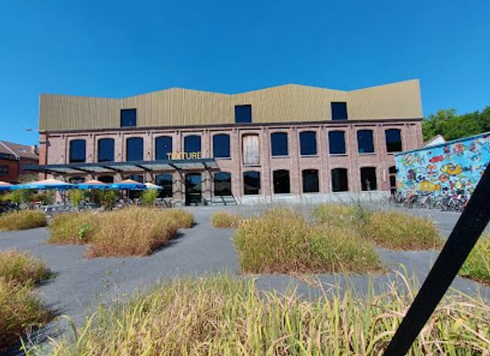 belgium/kortrijk/landmark/texture-flax-river-lys-museum