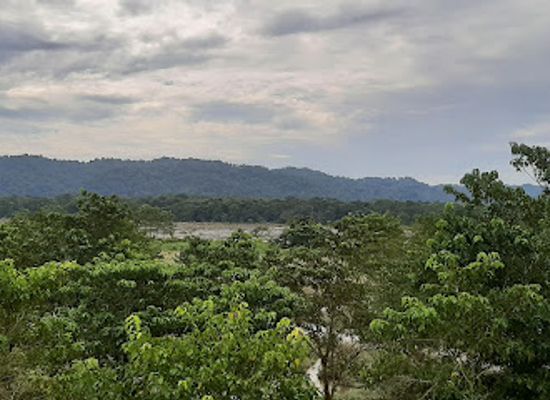 nepal/chitwan-national-park/landmark/golaghat-view-tower