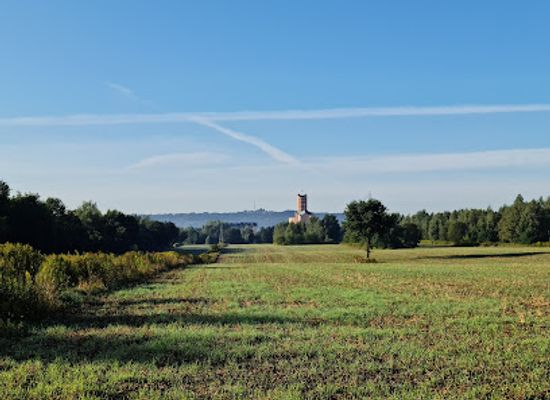 poland/tarnow/landmark/lasek-lipie