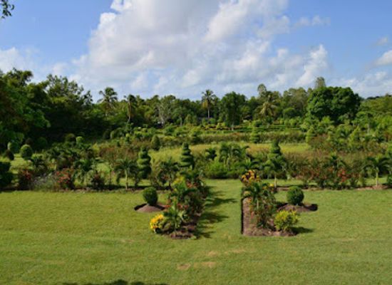 haiti/nord/landmark/cayes-botanical-garden