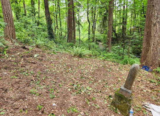washington/puget-sound/landmark/newcastle-cemetery