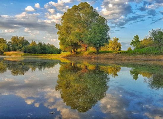 croatia/baranja/landmark/kopacki-rit-nature-park