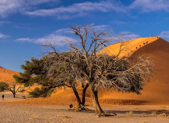 namibia/skeleton-coast/landmark/dune-45-viewpoint