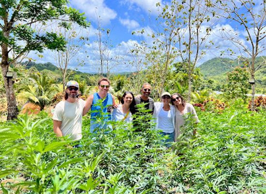 jamaica/north-coast/landmark/jacana-farm-tours