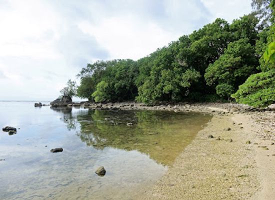 palau/peleliu-island/landmark/japanese-white-beach-enfilading-bunker