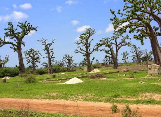 senegal/fatick/landmark/bandia-reserve