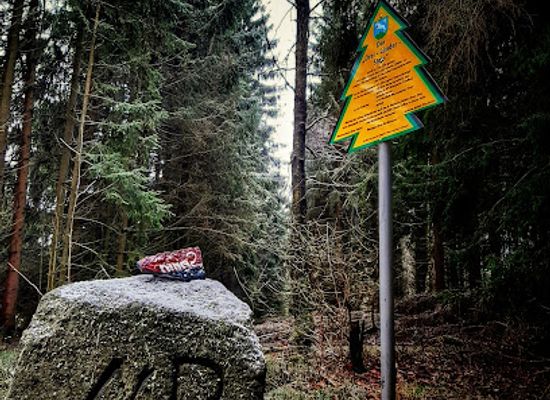 germany/harz-national-park/landmark/drei-lander-stein
