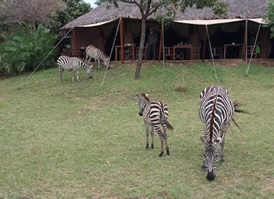 kenya/aberdare-national-park/landmark/equator-marker