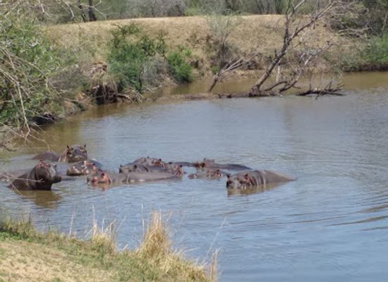 eswatini/highveld/landmark/mkhaya-game-reserve