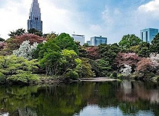 japan/tokyo/shinjuku/landmark/ninja-trick-house-in-tokyo