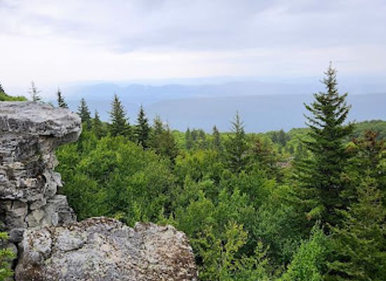 west-virginia/dolly-sods-wilderness/landmark/bear-rocks