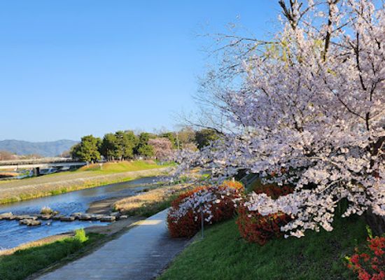 japan/kyoto-countryside/landmark/kamogawa-delta