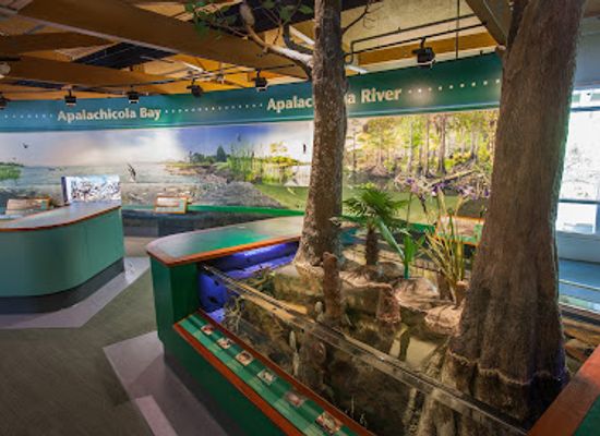 florida/panhandle/landmark/apalachicola-national-estuarine-research-reserve
