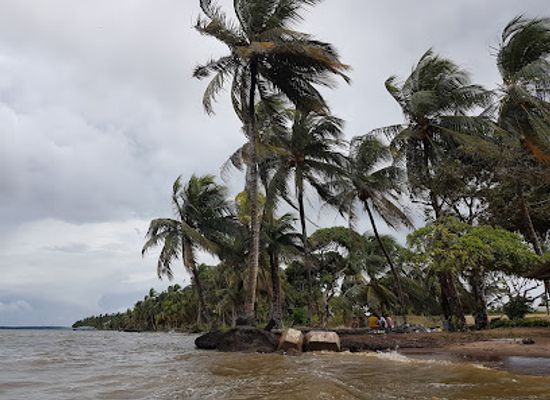 suriname/commewijne-district/landmark/galibi-nature-reserve