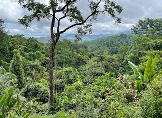 costa-rica/manuel-antonio/landmark/villa-vanilla-spice-tour-and-shop