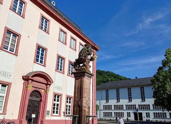 germany/heidelberg/landmark/lowenbrunnen