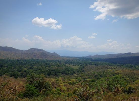 ethiopia/mago-national-park/landmark/chebera-churchura-national-park