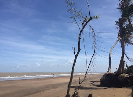 guyana/berbice-river/landmark/number-63-beach