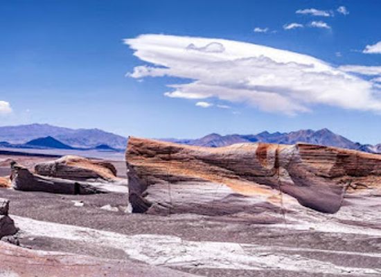 argentina/northern-patagonia/landmark/robledo