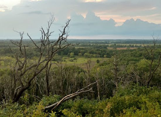 wisconsin/kettle-moraine/landmark/stute-springs-homestead-nature-trail
