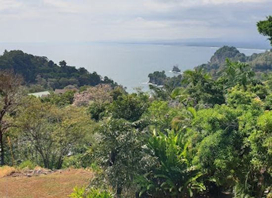costa-rica/manuel-antonio/landmark/manuel-antonio-falafel-bar