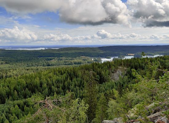 finland/koli-national-park/landmark/rylays