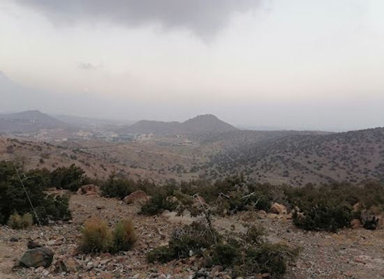 saudi-arabia/makkah/landmark/al-hada-palm