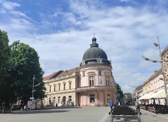 serbia/srem/landmark/srpski-dom-u-sremskoj-mitrovici