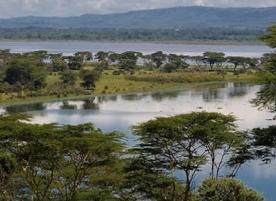 kenya/naivasha/landmark/sharif-tour-boat-safaris
