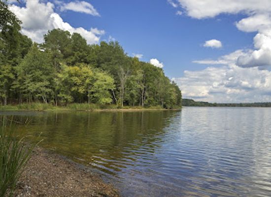 north-carolina/sandhills/landmark/harris-lake-county-park