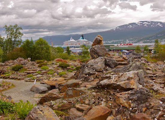 norway/tromso/sentrum/landmark/arctic-alpine-botanic-garden