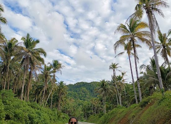 philippines/siargao/landmark/coconut-view-v1