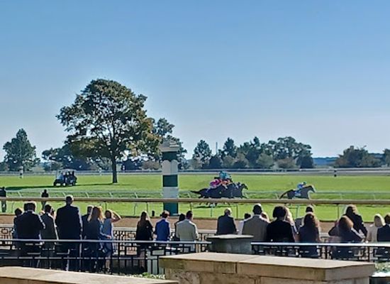 kentucky/lexington/keeneland/landmark/keeneland-turf-track-7-furlong