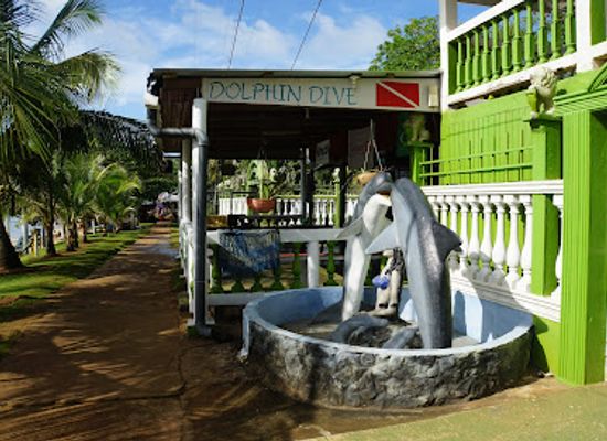 nicaragua/south-caribbean-coast-autonomous-region/landmark/dolphin-dive