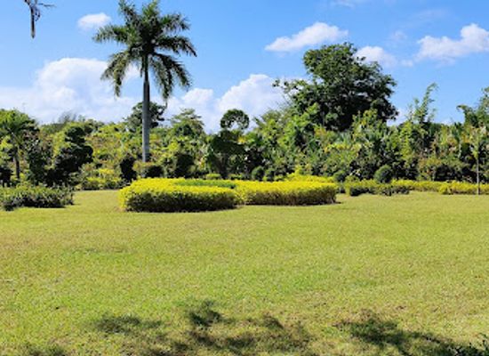 haiti/sud/landmark/cayes-botanical-garden