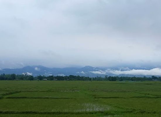 bhutan/dagana-district/landmark/bhutan-foothills