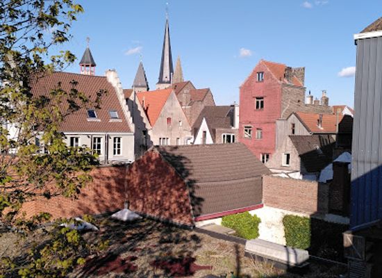 belgium/ghent/patershol/landmark/graffiti-street