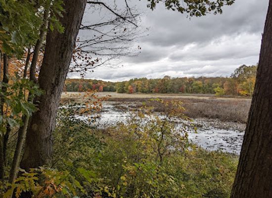 michigan/southwest-michigan/landmark/lillian-anderson-arboretum