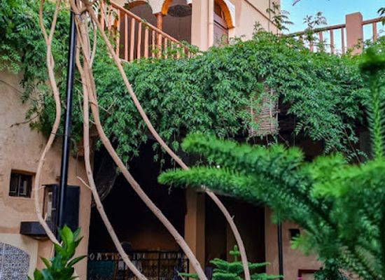 morocco/taroudant/landmark/maison-d-hotes-oasis-de-tiout