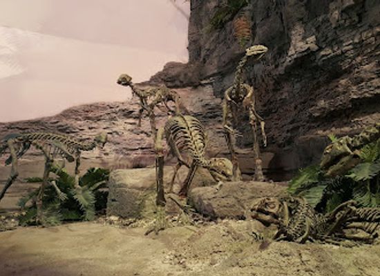 utah/cedar-valley/landmark/mountain-america-museum-of-ancient-life-at-thanksgiving-point
