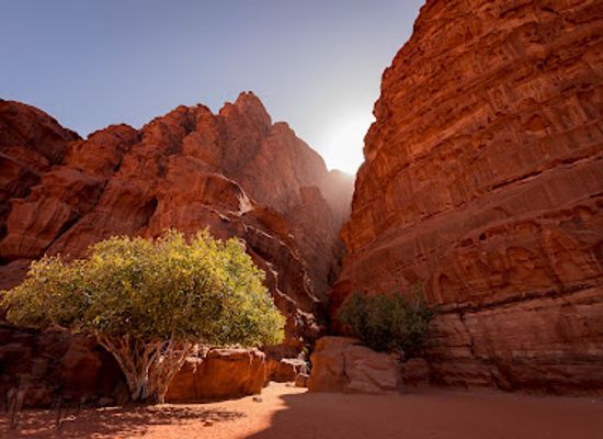 jordan/hamamat-ma-in/landmark/wadi-rum-protected-area