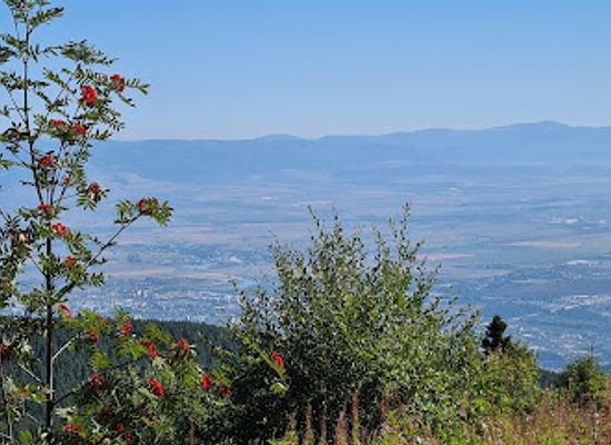 bulgaria/vitosha-mountain/landmark/bear-s-meadow